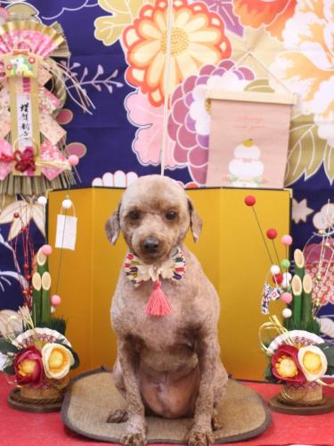 20240124くぅくん